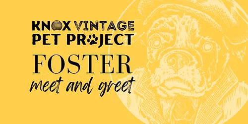 Foster Meet & Greet Adoption Event