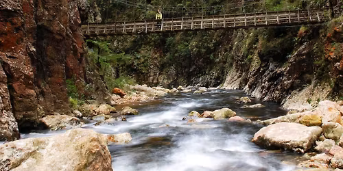 2025 Carols in the Gorge