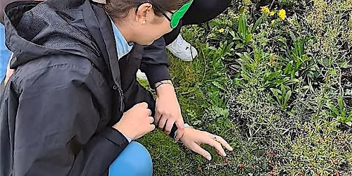 LJMU Wellbeing Garden: Growing Connections