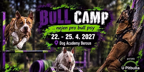 BULL CAMP nejen pro bull psy