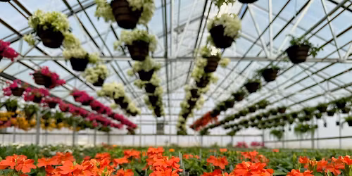 29th Annual Spring Open House \ud83c\udf38