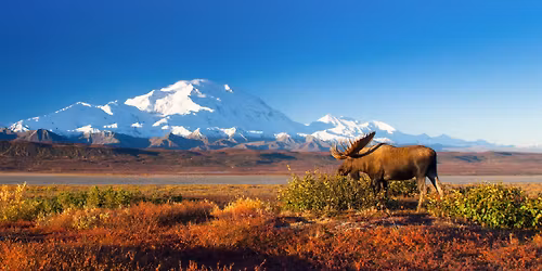 Alaska - Wildes Land