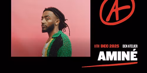 Amin\u00e9 I Luxembourg