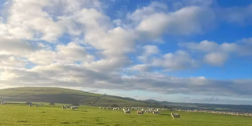 Barlow Carnival Not Quite 10K 2026