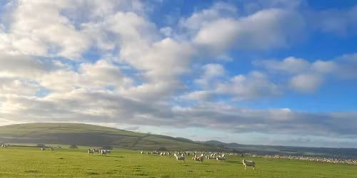 Barlow Carnival Not Quite 10K 2026