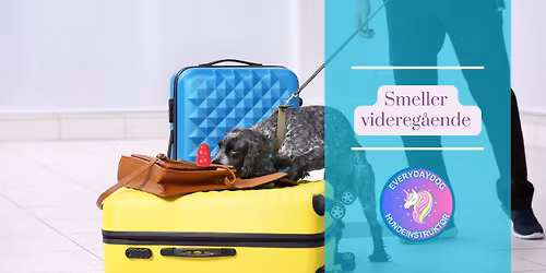 Smeller - videreg\u00e5ende 