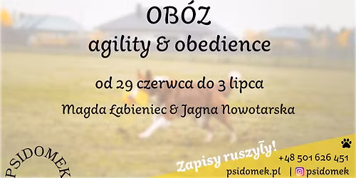 Agility & obedience