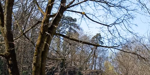 Tir au canon \u00e0 Carouge