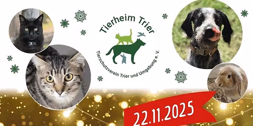Adventsbasar im Tierheim Trier