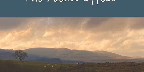 The Foehn Effect & Coed Mor