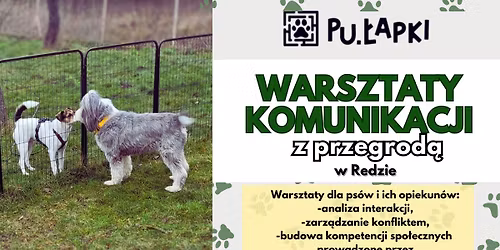 Pu\u0142apkowe warsztaty psiej komunikacji z przegrod\u0105
