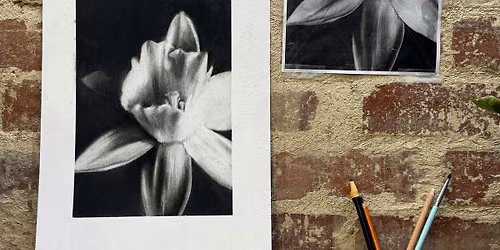 Drawing in Charcoal: Light, Shadow & Form