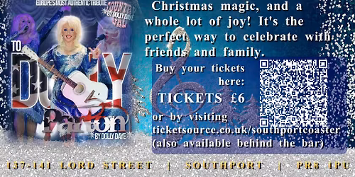 Holly Dolly christmas