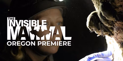 The Invisible Mammal