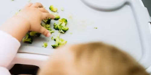 Mom + Me - Introducing Solids