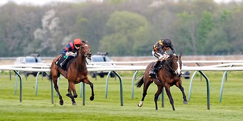 Evening Racing