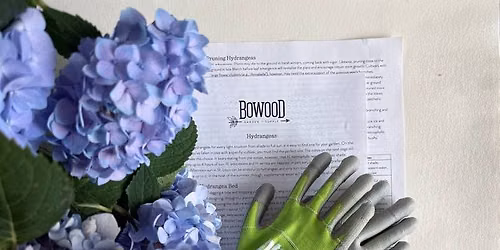 Hydrangeas 101