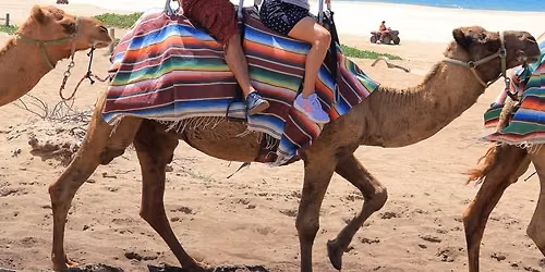 LOS CABOS