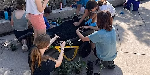 Volunteer with Cultivate the City