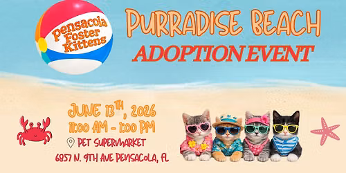 Purradise Beach Kitten Adoption Event
