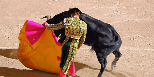 Ultimate Bullfighters