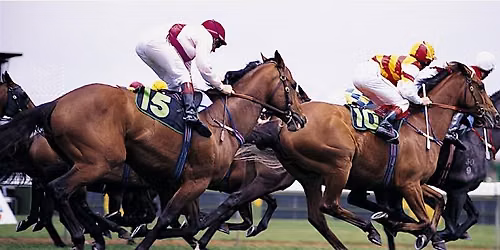 Race Night!