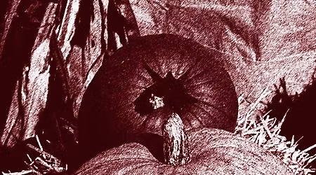 37th Un-Turkey Thanksgiving Celebration!