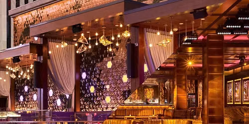 OMNIA Thursday