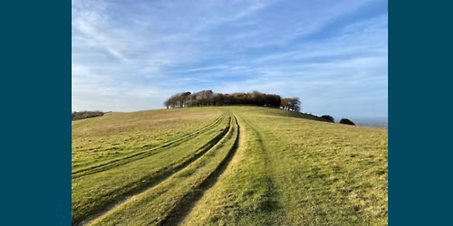 Autumn Lectures: The Story of Chanctonbury Ring