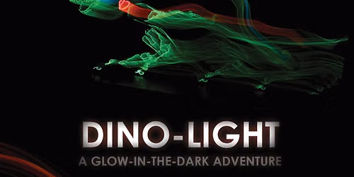EDUCATION: Dino-Light