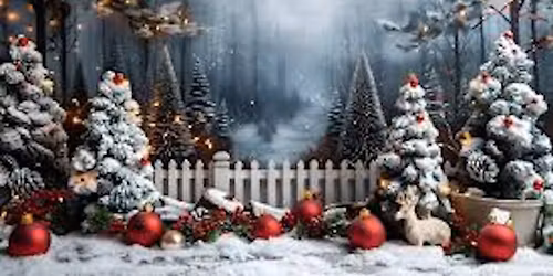 Bill Lopez Solo @ VFS Holiday Buffet