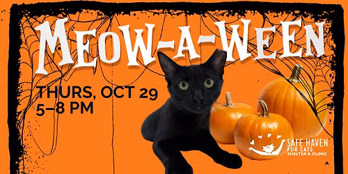 Meow-a-Ween: Trick-or-Treat with the Cats!