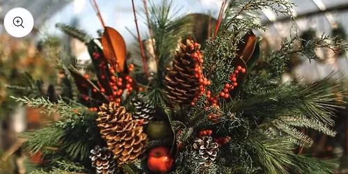 #2 Outdoor Winter Planter Workshop - NOV 29