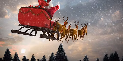 Festive Family Party Lunch With Santa