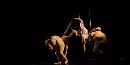 La Perle \u2022 Sayeh Sirvani | Compagnie 1001