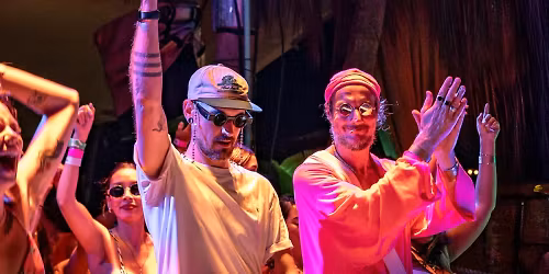 Monkey Safari in Greater London