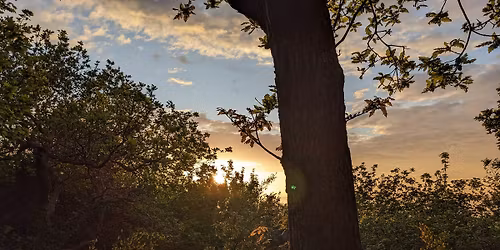 Fusion of Yoga and Sound Retreat