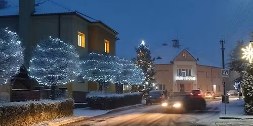 V\u00e1no\u010dn\u00ed trhy a rozsv\u00edcen\u00ed v\u00e1no\u010dn\u00edho stromu u M\u0160 Hospoz\u00edn