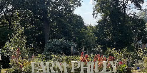 WILD FOODS FORAGING WALK WITH LADY DANNI