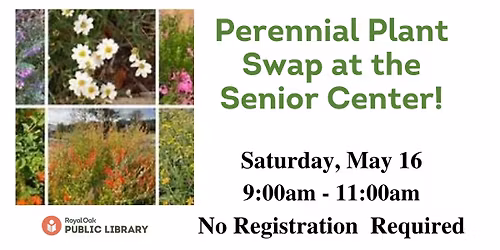 Perennial Plant Swap at the Senior Center