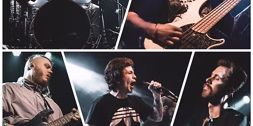 Forsythia + Immurge + Our City Skyline