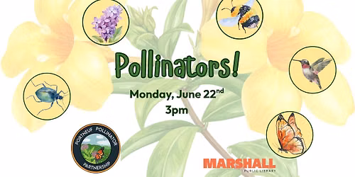 Children's Activity: Pollinators!