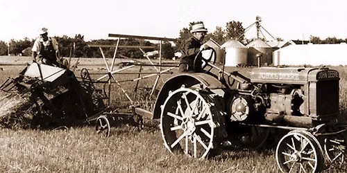 50th Annual Fall Harvest Festival 
