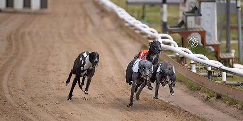 Hundkappl\u00f6pning