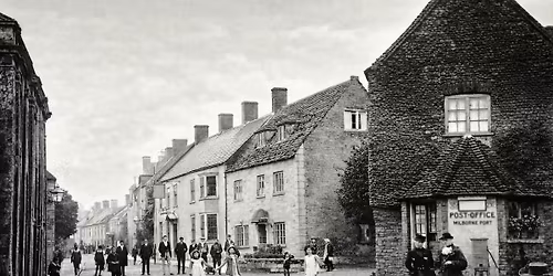 Alners Gorse Field Trip