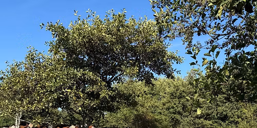 \u00d8stsl\u00f8jfen ca 12 km