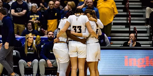 Parking Mercer Bears at Wofford Terriers Mens Basketball