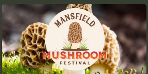 MUSHROOM FESTIVAL
