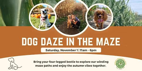 Dog Daze in the Maze