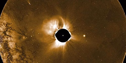 The sparkling solar wind: Insight from the PUNCH Mission